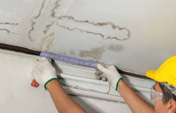 Reliable Water Damage contractor in Silver Grove, KY by Water Damage Irwin